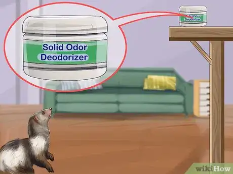 Image titled Reduce Ferret Odor Step 10
