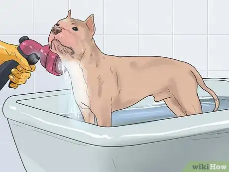 Image titled Have Fun Giving Your Dog a Flea Bath Step 8
