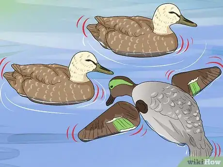 Image titled Set Duck Decoys Step 16