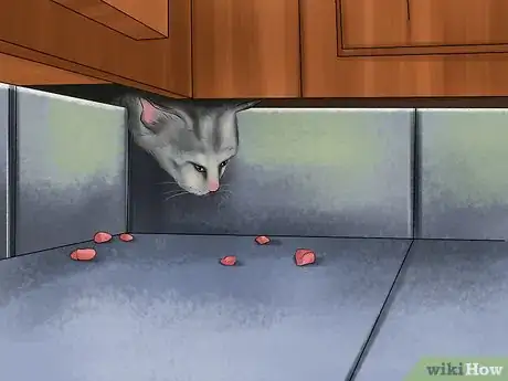 Image titled Deal with Cognitive Disorders in Cats Step 10