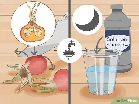 Image titled Breed Purple Roses Step 9