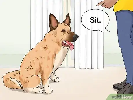 Image titled Identify a Belgian Laekenois Dog Step 14