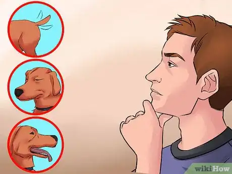 Image titled Become Close With Your Dog Step 2