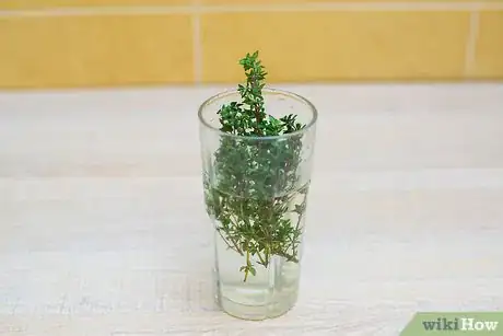 Image titled Use Marjoram Step 7