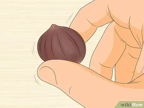 Image titled Pick Good Chestnuts Step 5