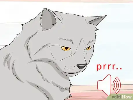 Image titled Figure Out Your Cat's Mood Step 5