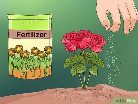 Image titled Grow Flowers from Seed Step 16