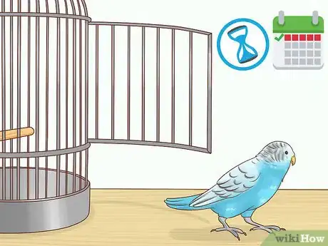 Image titled Keep a Parakeet Safe Out of Its Cage Step 1