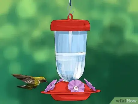 Image titled Use a Backyard Bird Feeder Step 6
