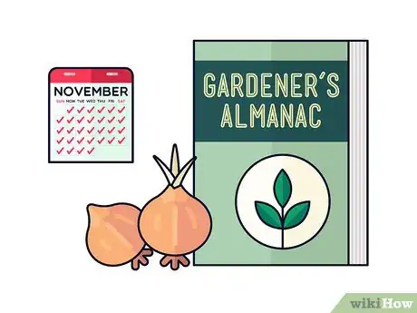 Image titled Grow Saffron Step 5