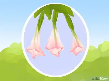 Image titled Plant a Deer‐Resistant Garden Step 8