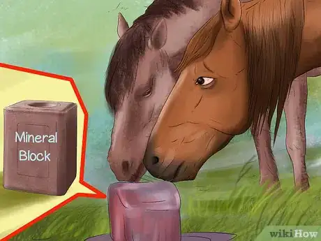 Image titled Feed a Horse Magnesium Step 5