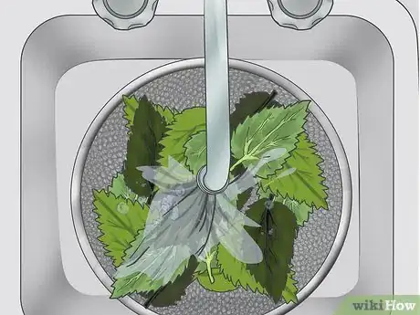 Image titled Use Nettle Leaf Step 14