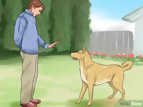 Image titled Encourage Your New Dog to Listen to You Step 3
