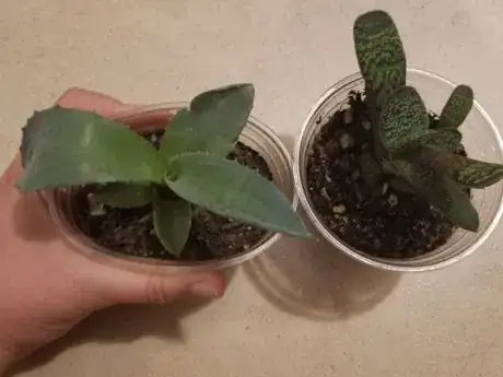 Image titled Squeezecontainer