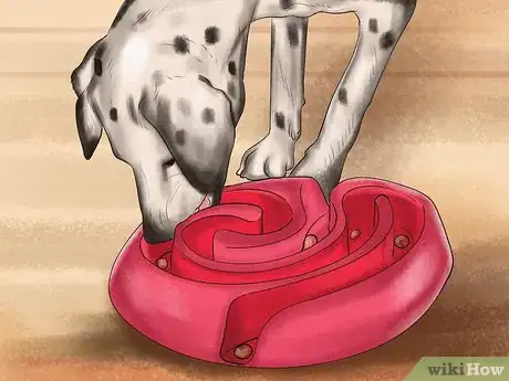 Image titled Keep an Older Dog Mentally Active Step 3