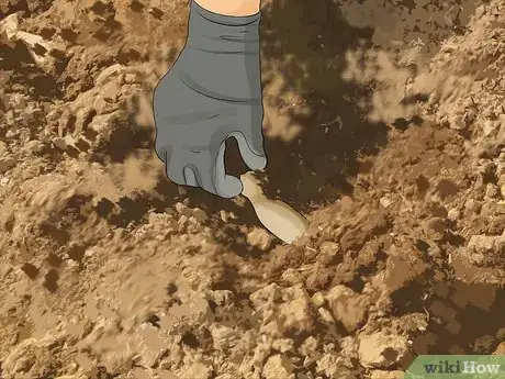 Image titled Grow Dahlias Step 6