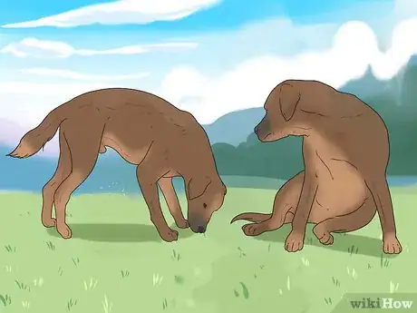 Image titled Tell if a Dog Is in Pain Step 8