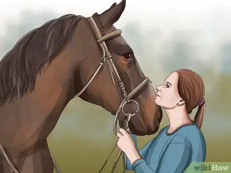 Image titled Prevent Botulism in Horses Step 15