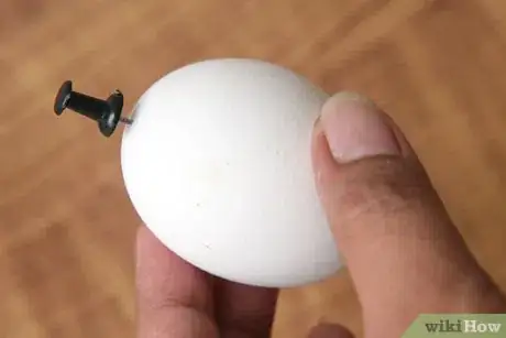 Image titled Recycle Eggshells in Gardening Activities Step 1Bullet2