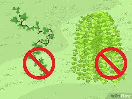 Image titled Replace Your Lawn with Groundcovers Step 4
