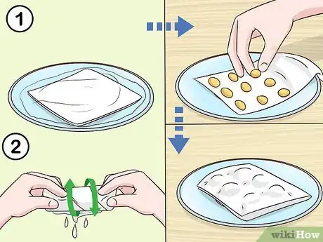 Image titled Grow Kumquat Step 1