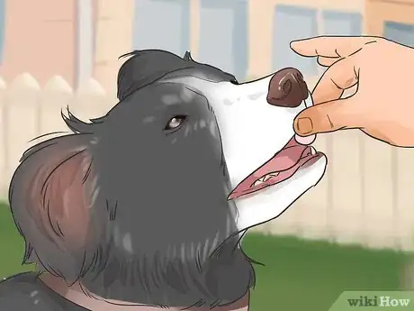 Image titled Introduce Your New Dog to Dogs in the Neighborhood Step 11