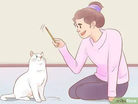 Image titled Target Train a Cat Step 17