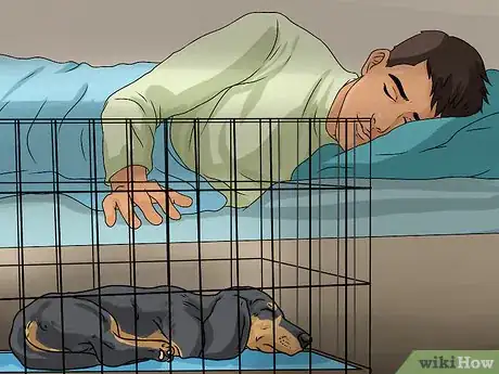 Image titled Crate Train Dachshunds Step 8