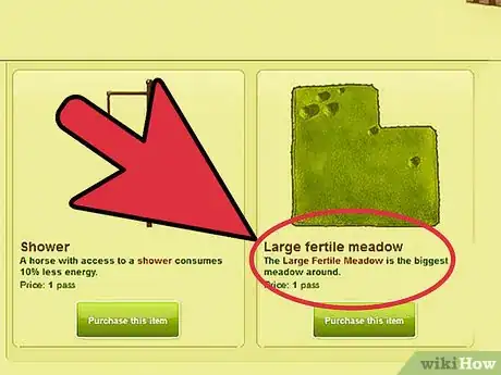 Image titled Start an Equestrian Center on Howrse Step 10