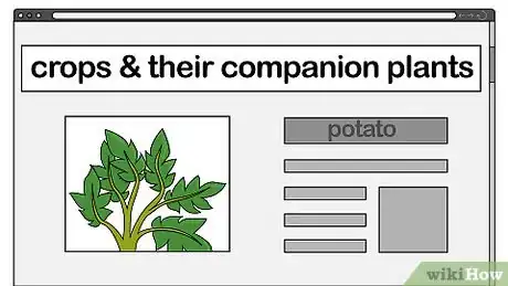 Image titled Companion Plant Step 2