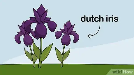 Image titled Plant Flower Bulbs Step 6