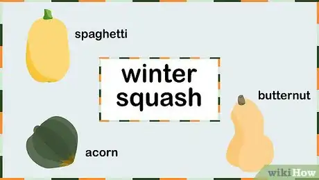 Image titled Grow Squash Step 11