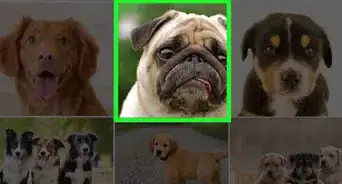 See Your Likes History on Instagram