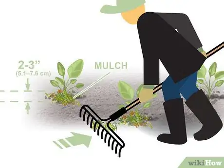 Image titled Grow Biennial Vegetables Step 07