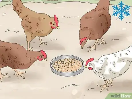 Image titled Promote Egg Laying in Hens Step 6
