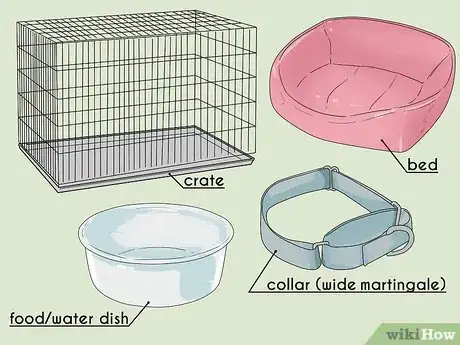 Image titled Adopt a Greyhound Step 10