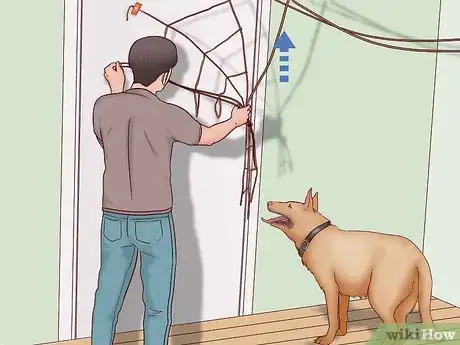 Image titled Keep Your Dog Safe on Halloween Step 2