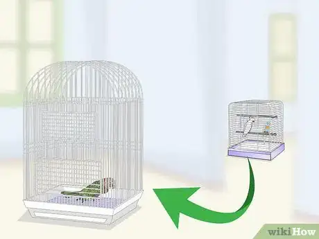 Image titled Treat Infections in Hawk Headed Parrots Step 11