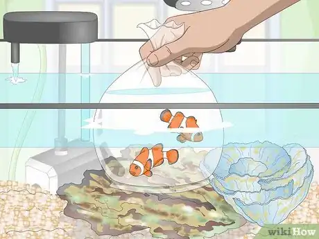 Image titled Start a Saltwater Reef Tank Step 22