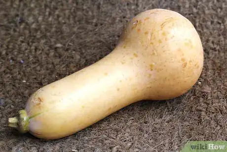 Image titled Cure Winter Squash Step 11