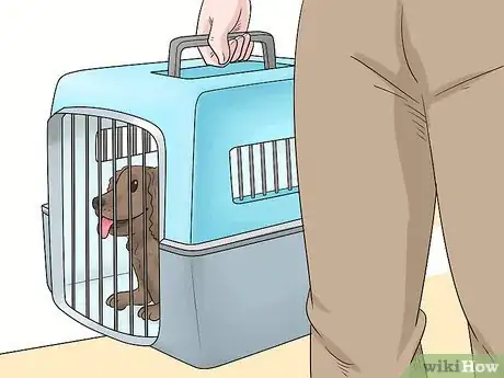 Image titled Keep Pets Safe During a Tornado Step 9