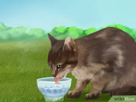 Image titled Protect an Outdoor Cat from Excess Sunlight Step 10