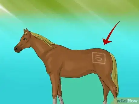 Image titled Prepare Horses for a Hurricane Step 7