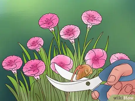 Image titled Grow Flowers from Seed Step 15