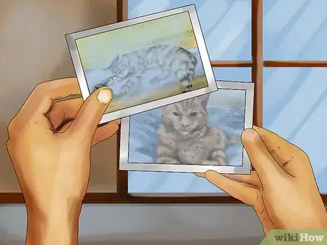 Image titled Photograph Your Cat's Symptoms for the Vet Step 11