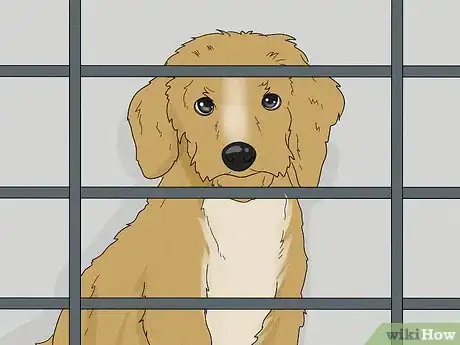 Image titled Identify a Puppy Mill Step 17