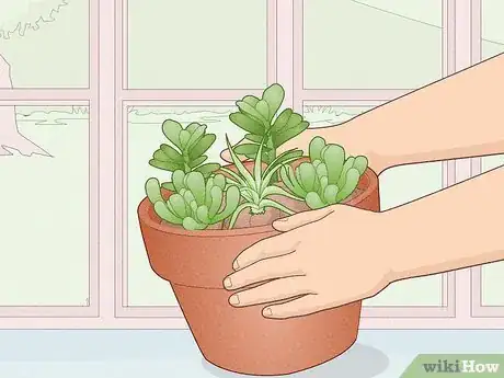 Image titled Make a Mini Garden in Your Room Step 5