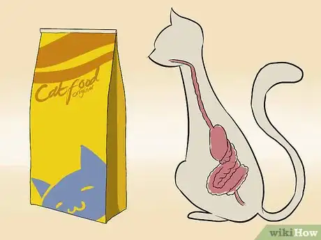 Image titled Diagnose Chronic Vomiting in Cats Step 2