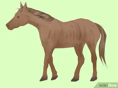 Image titled Measure for a Horse Blanket Step 14